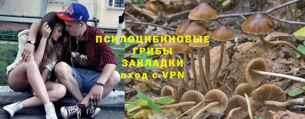 spice Беломорск