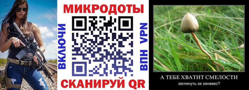 Псилоцибиновые грибы Psilocybe  Купить  Миллерово 